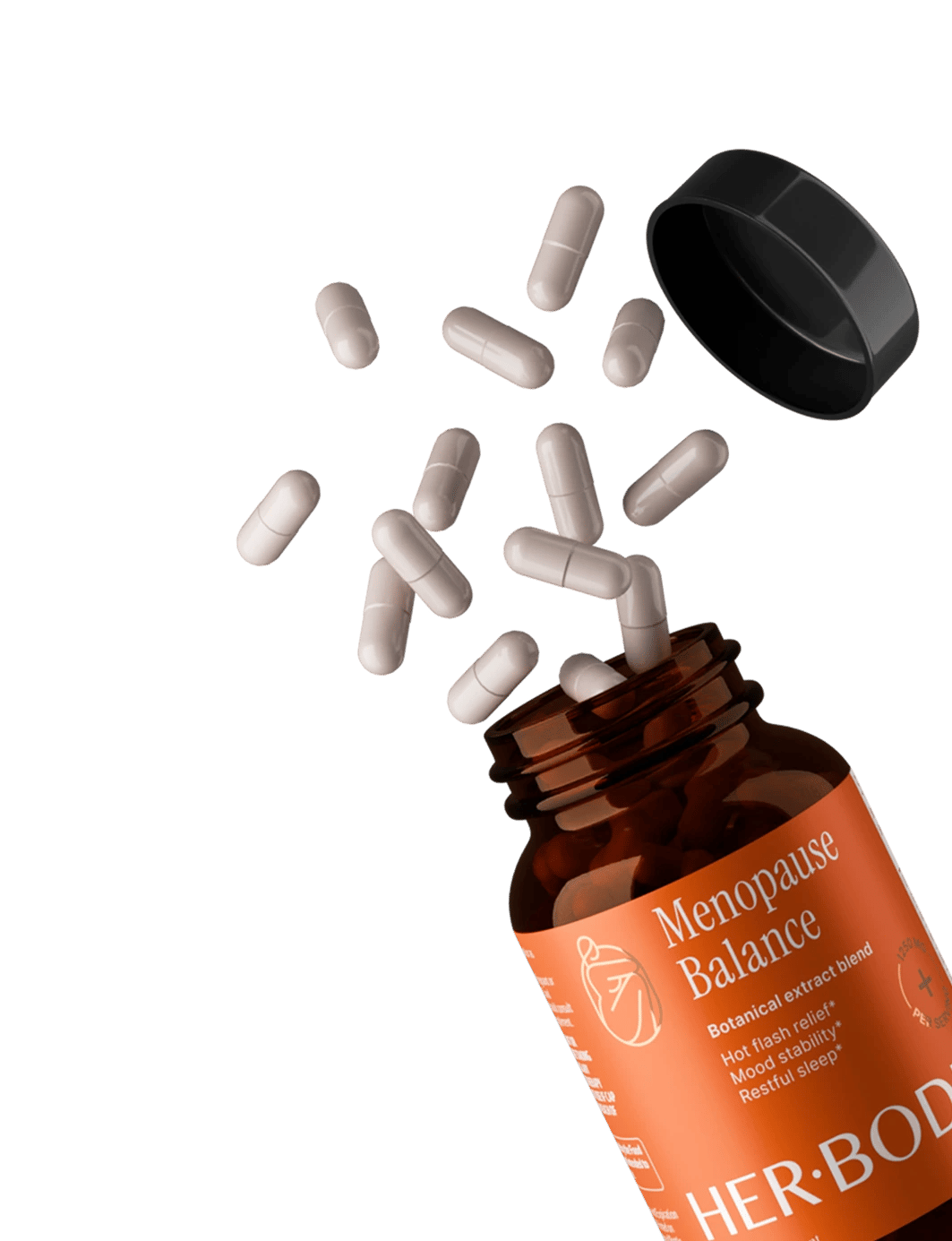New bottles design